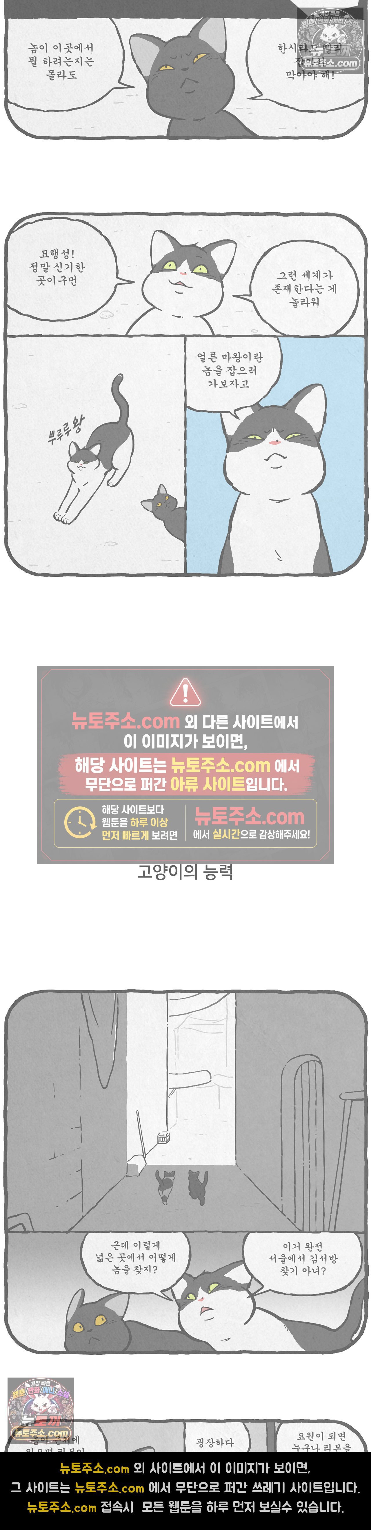 004.jpg