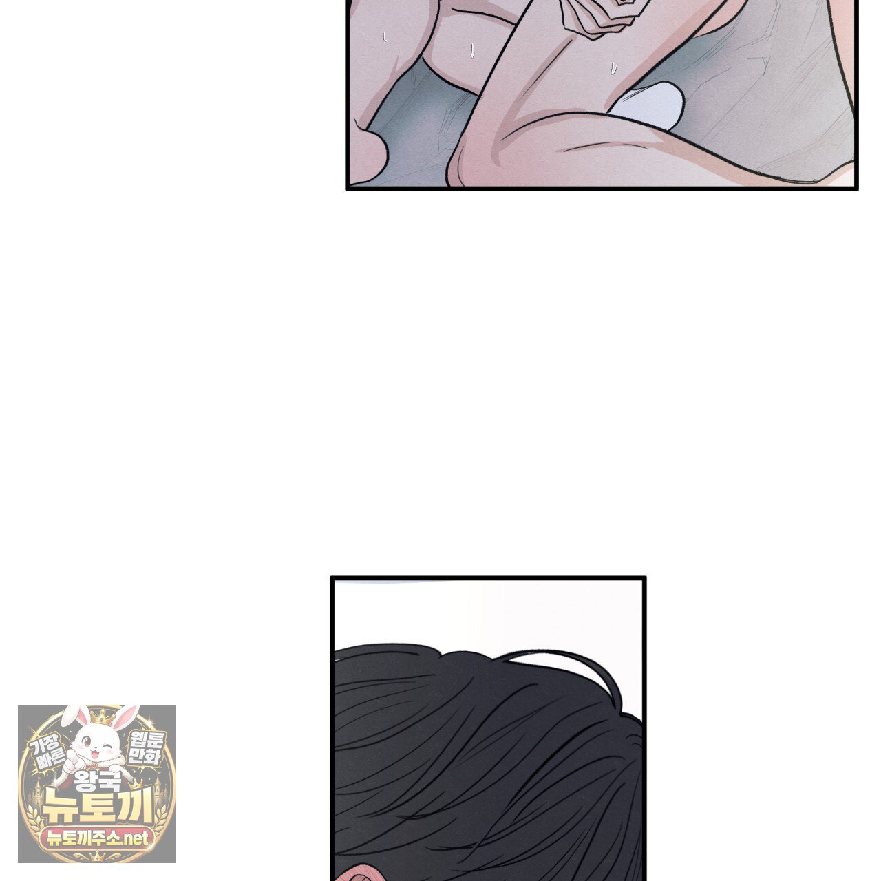 003.jpg