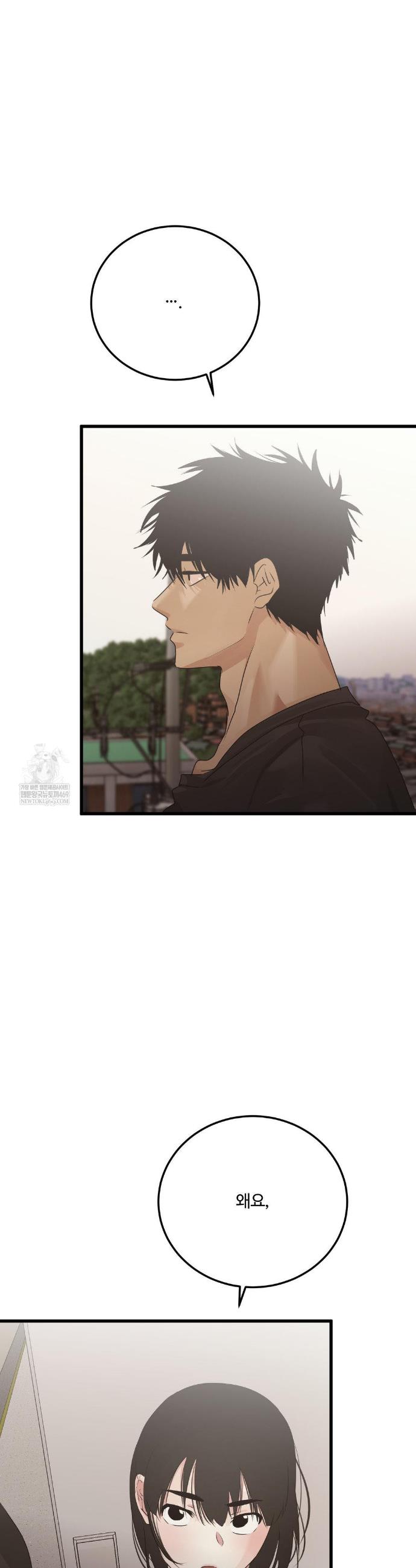 043.jpg