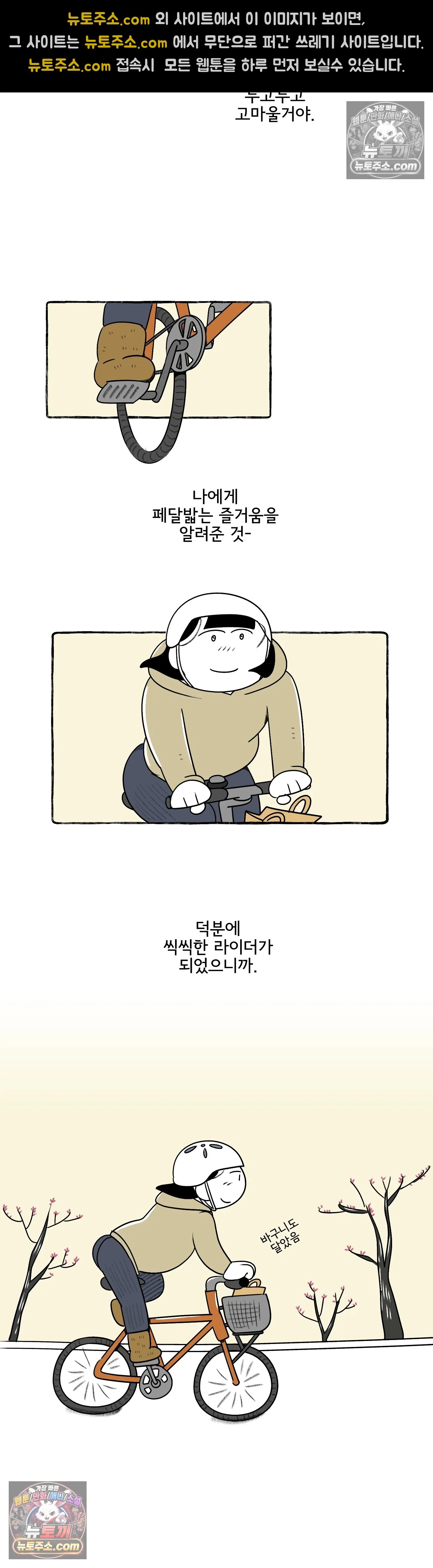 005.jpg