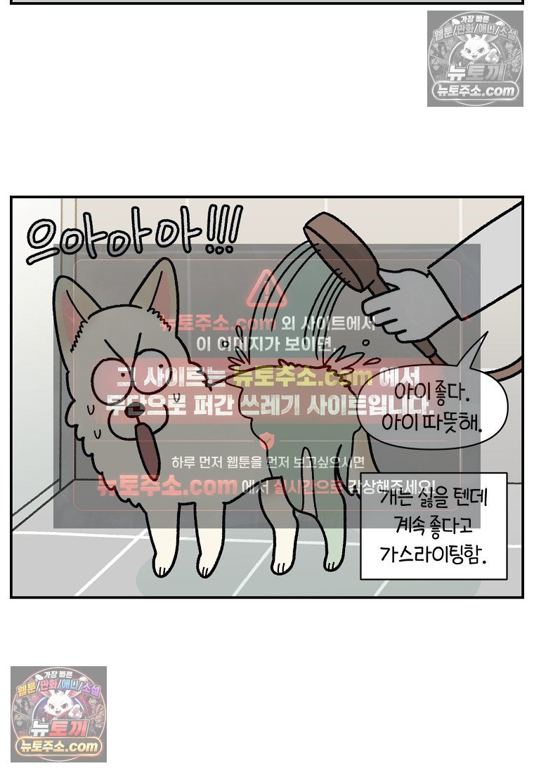 010.jpg