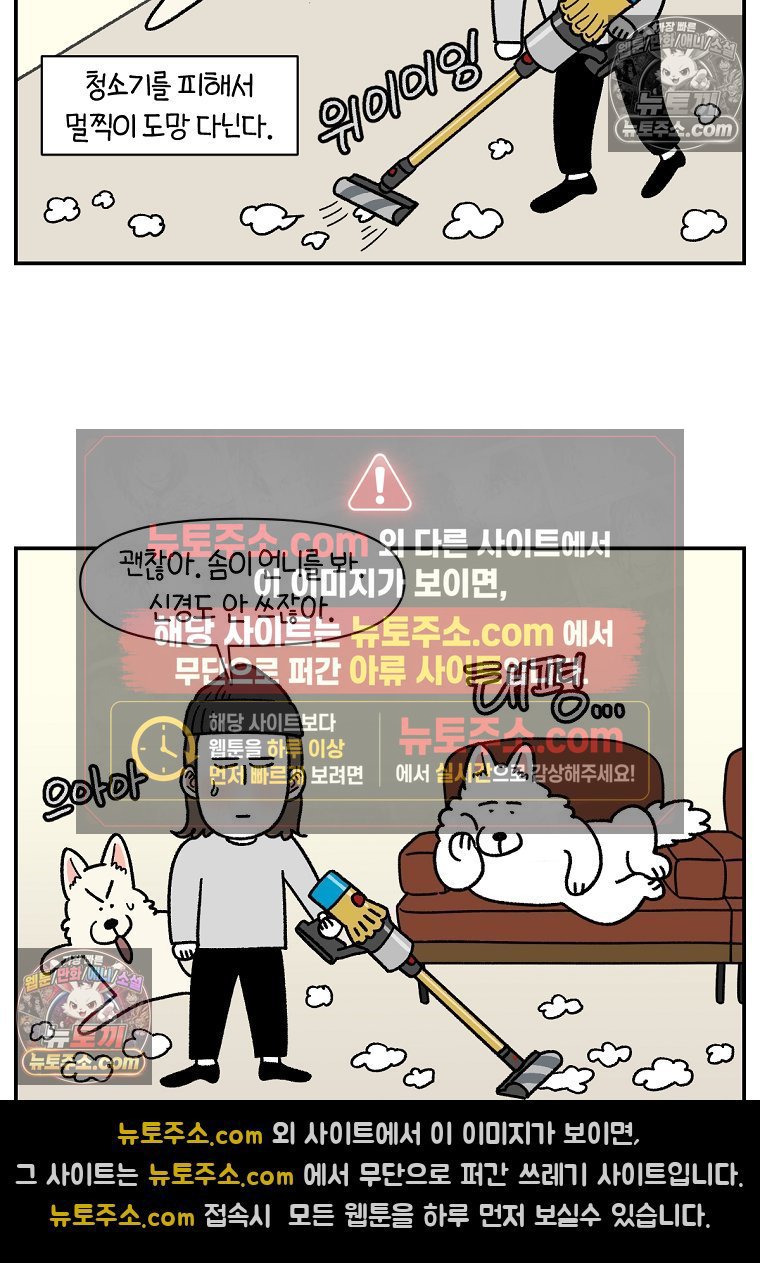 009.jpg