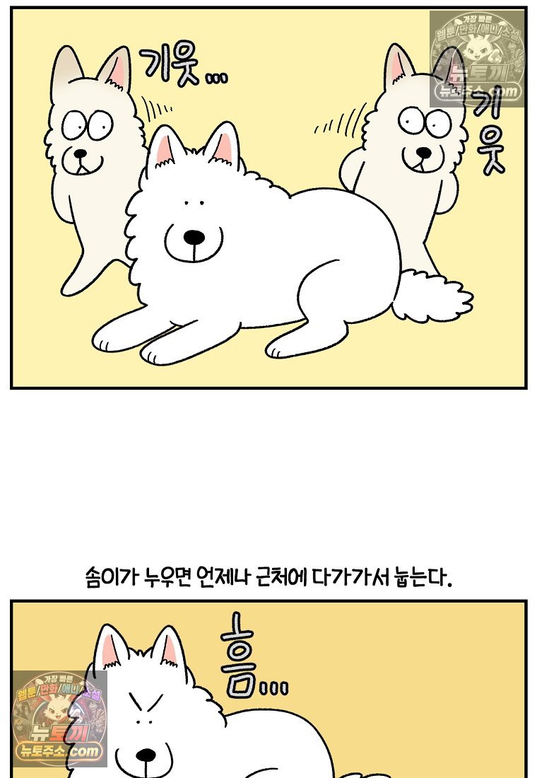 003.jpg