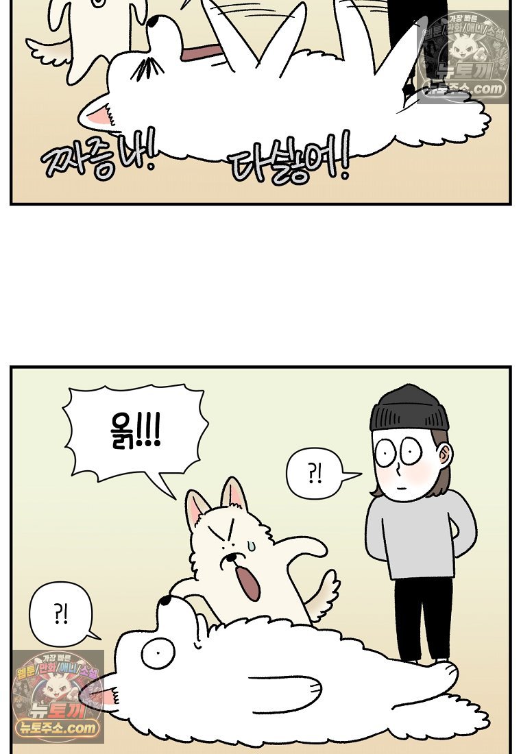 009.jpg