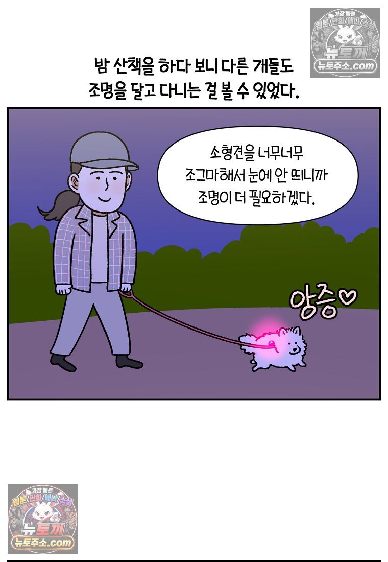 010.jpg