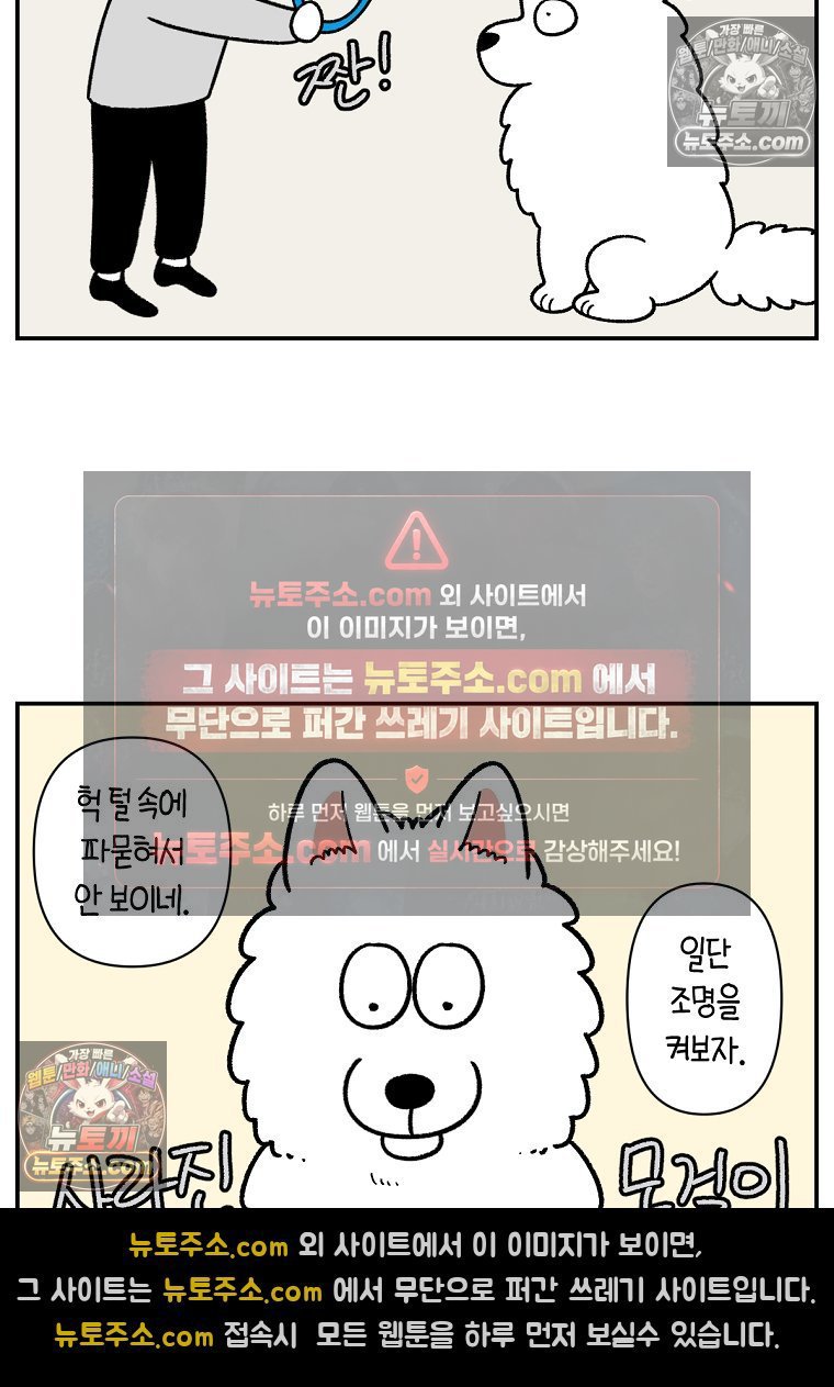 014.jpg
