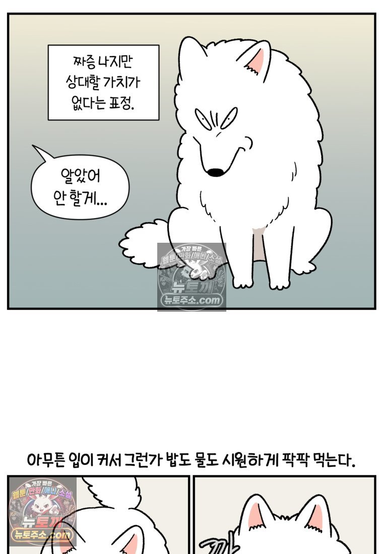 005.jpg