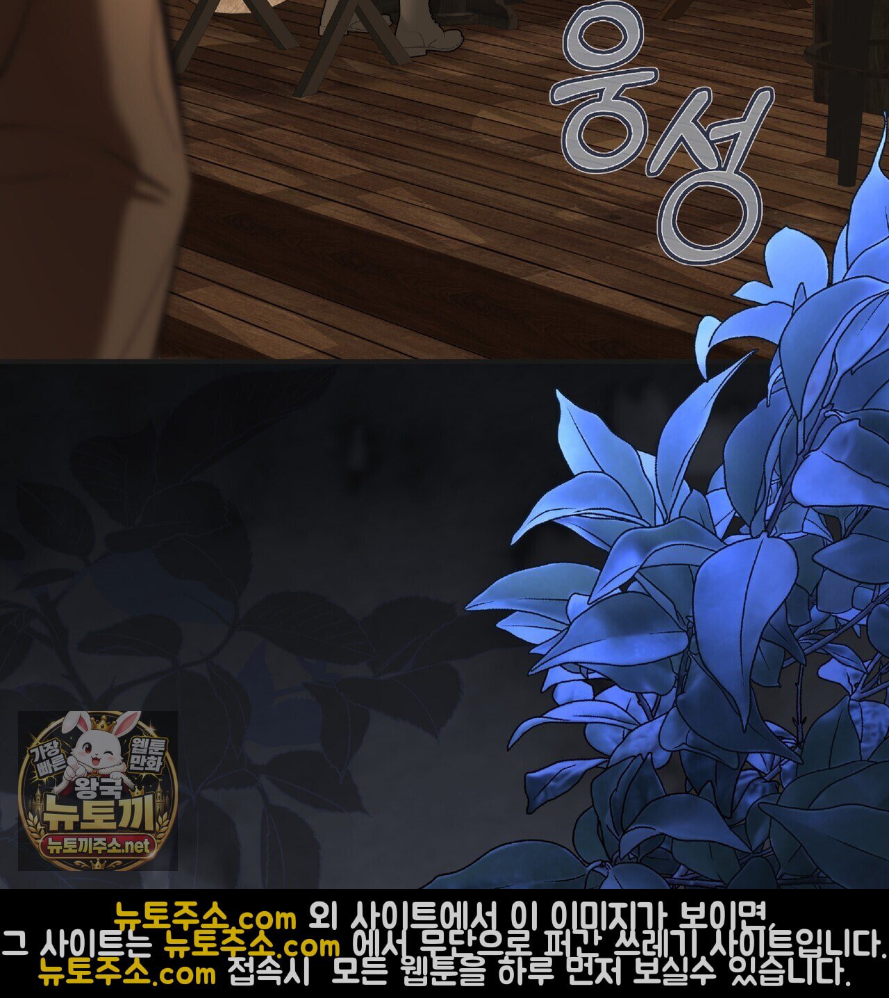 003.jpg