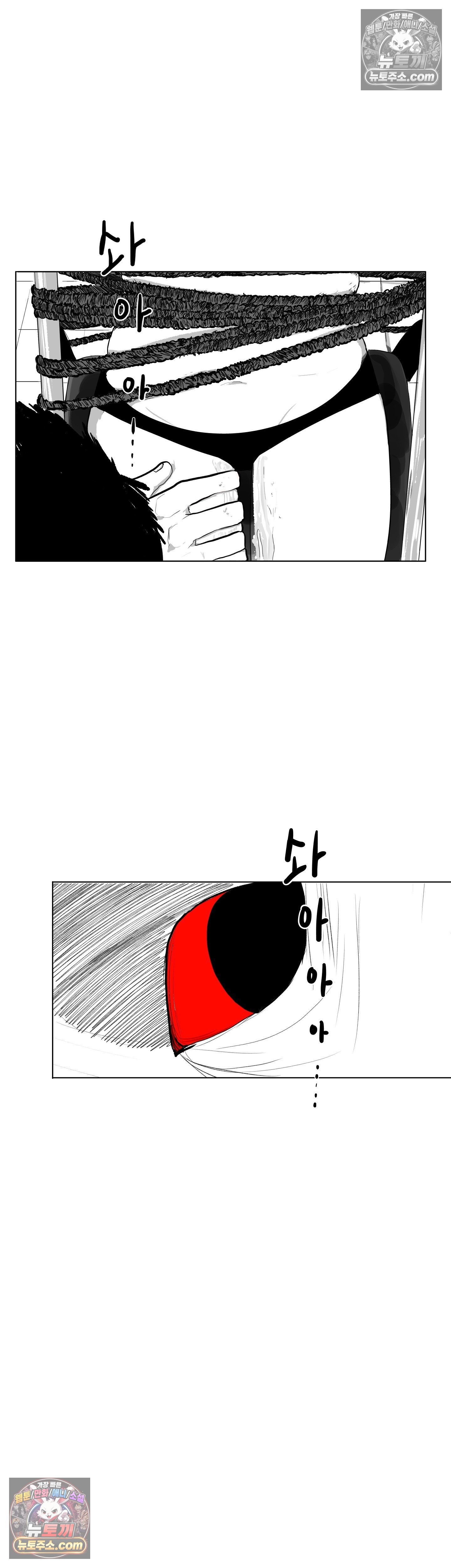 009.jpg