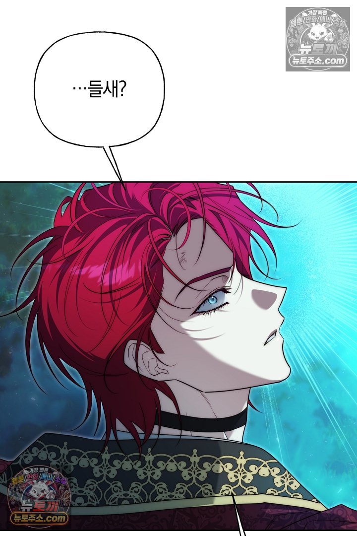 008.jpg
