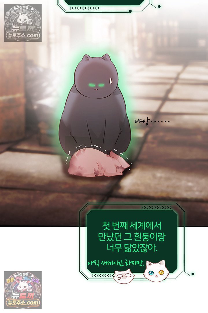 003.jpg