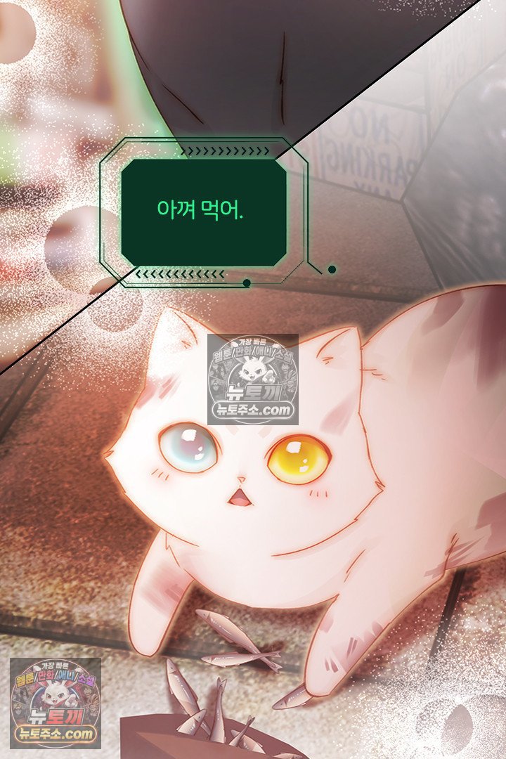 009.jpg