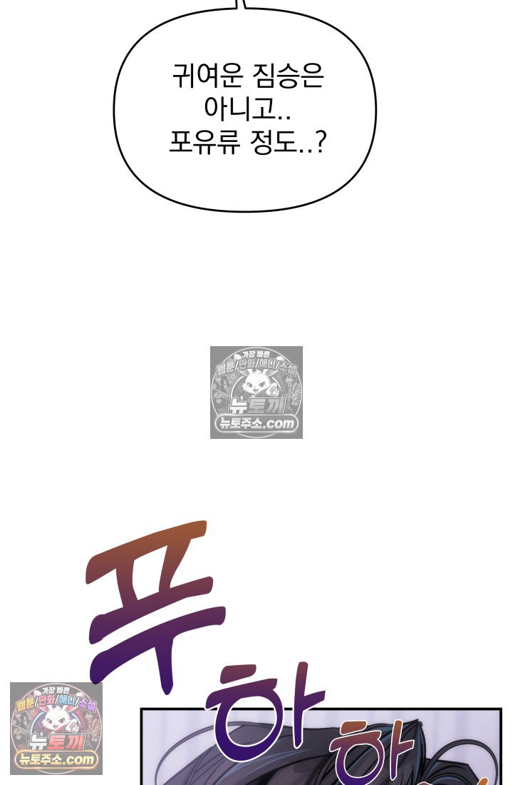 113.jpg