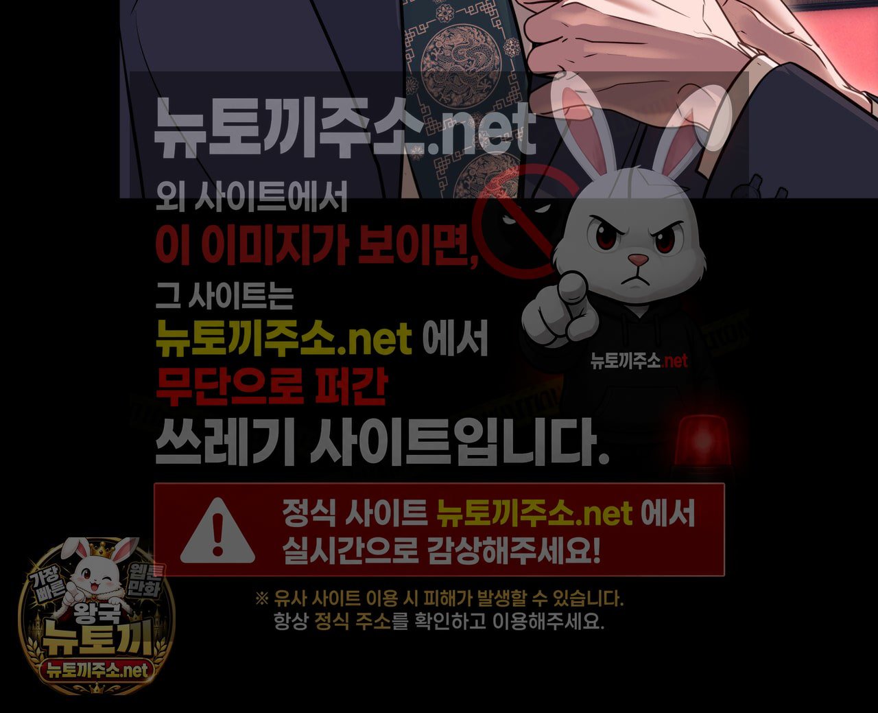113.jpg