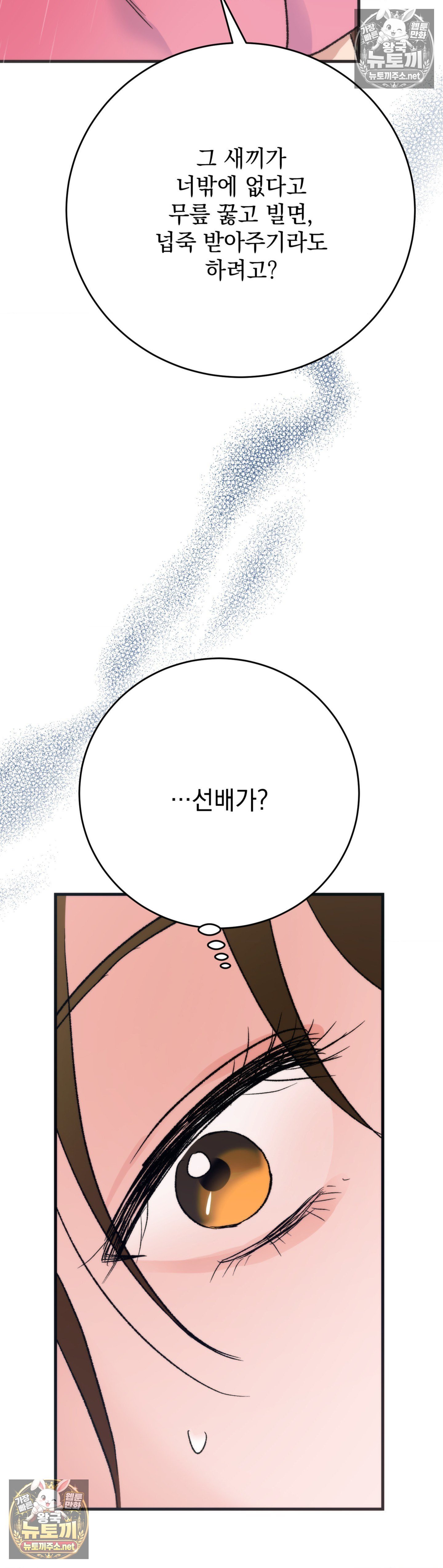 032.jpg