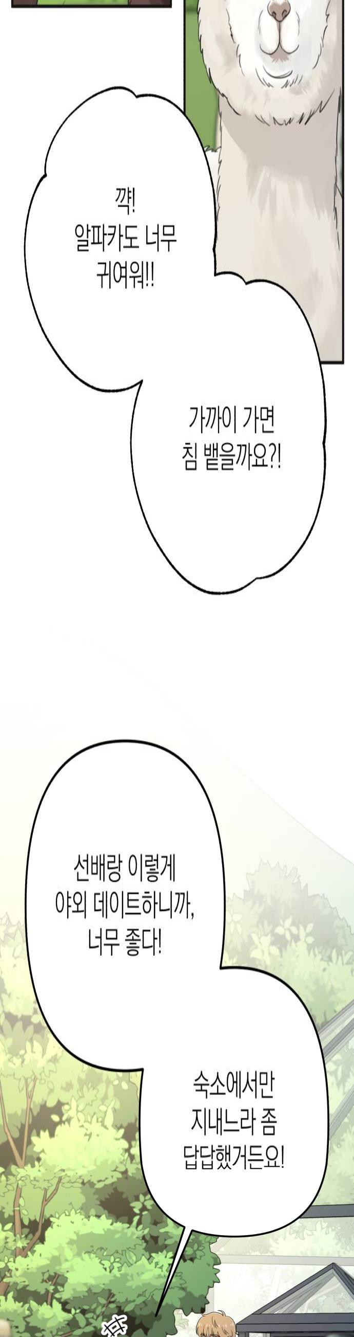 004.jpg