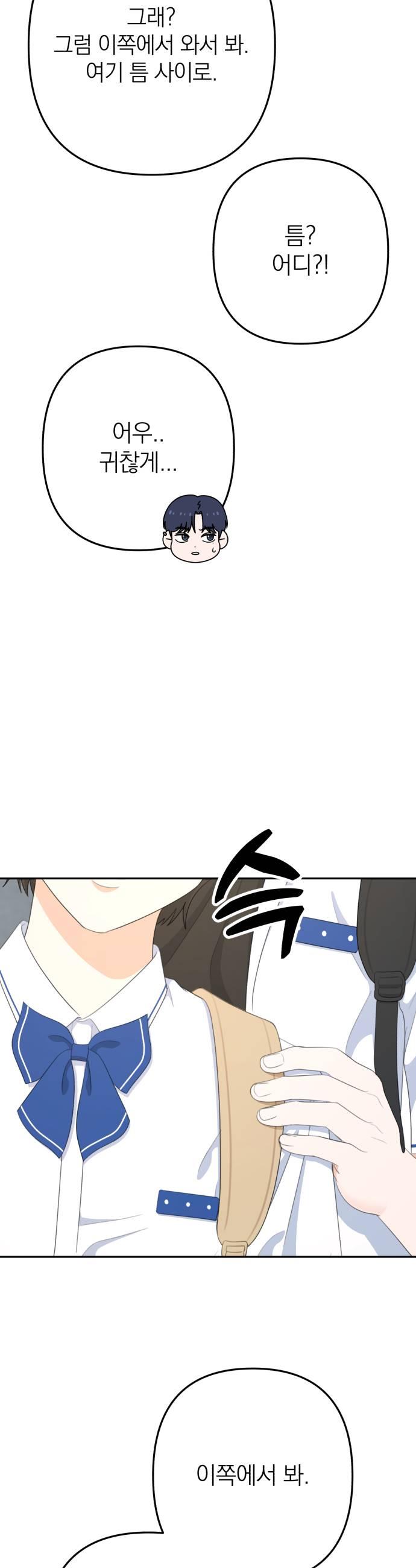 005.jpg