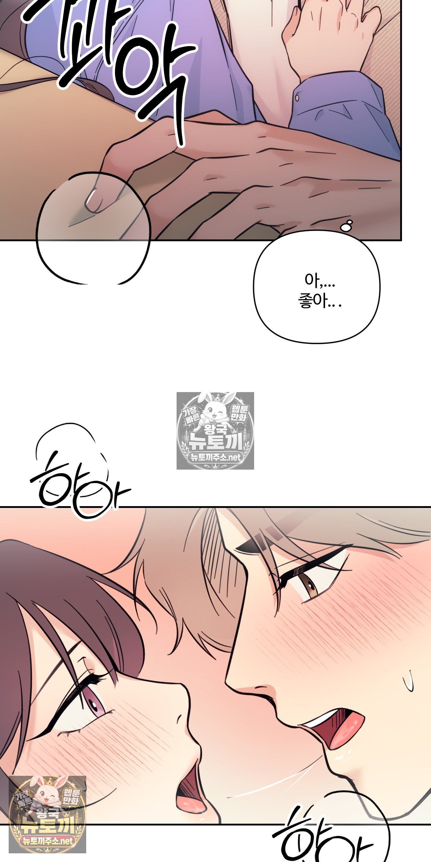 005.jpg