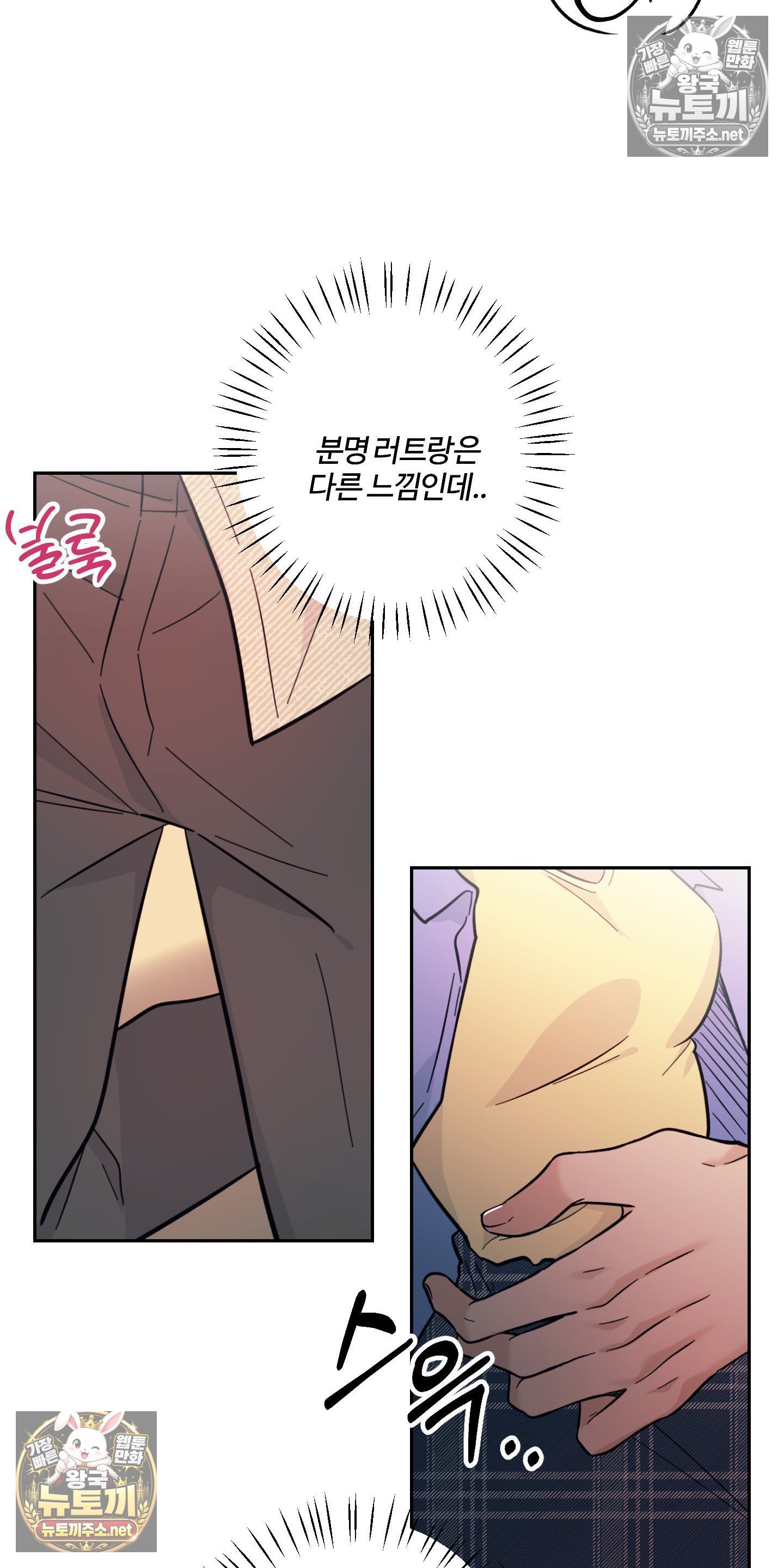 006.jpg