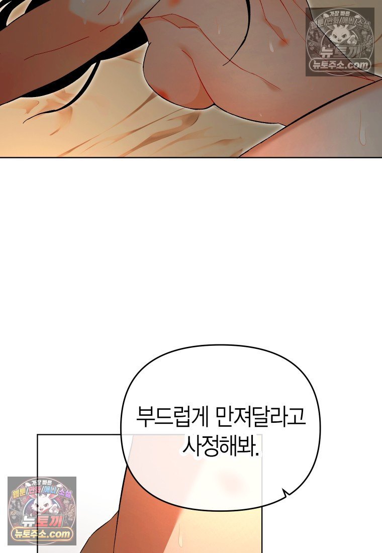 042.jpg