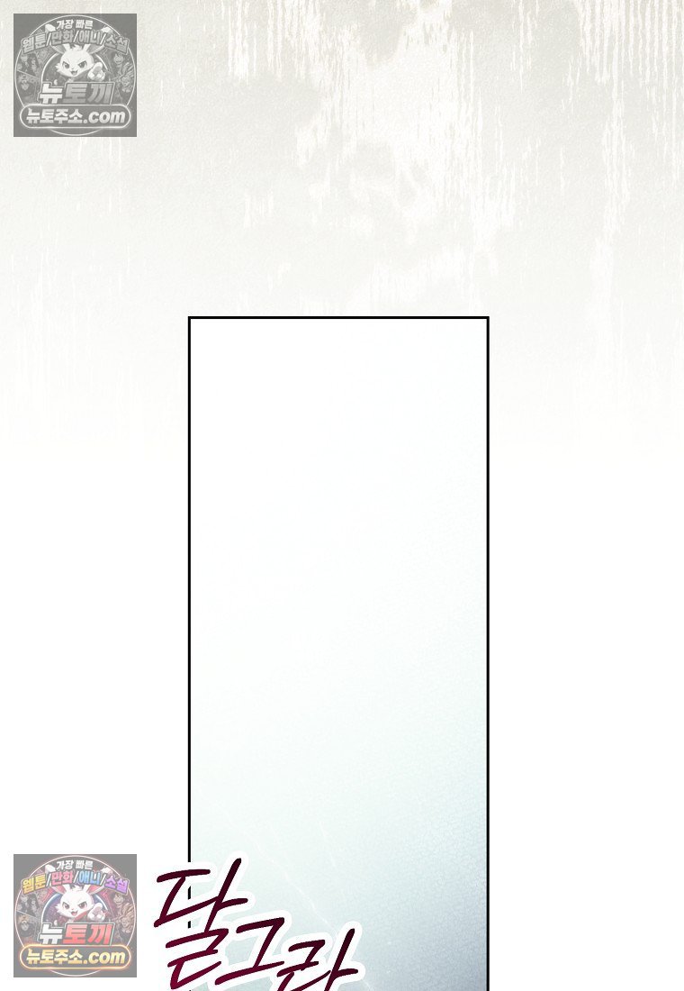 142.jpg