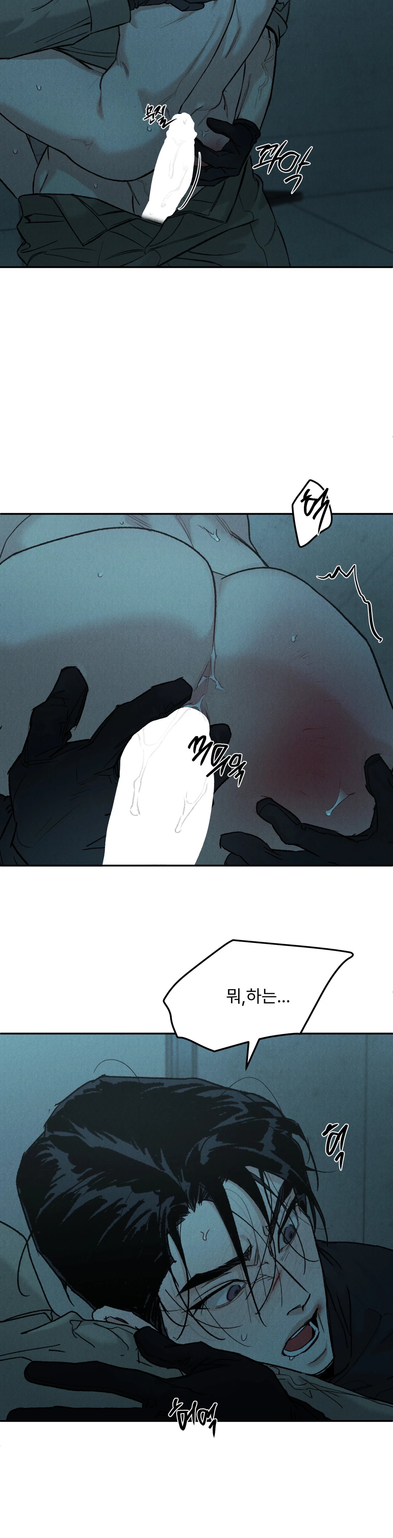 007.jpg