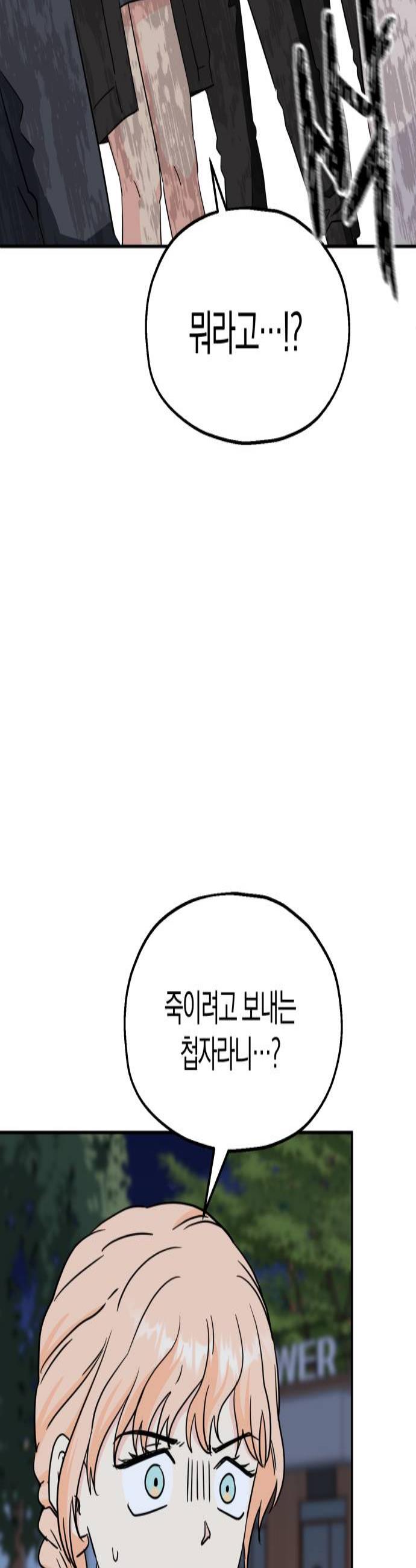 003.jpg