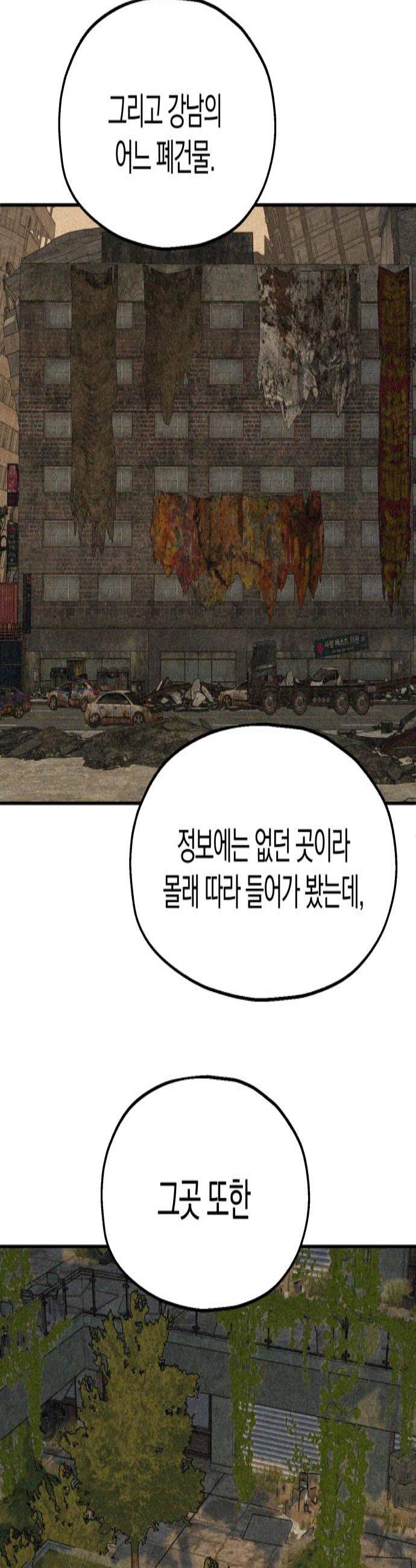003.jpg