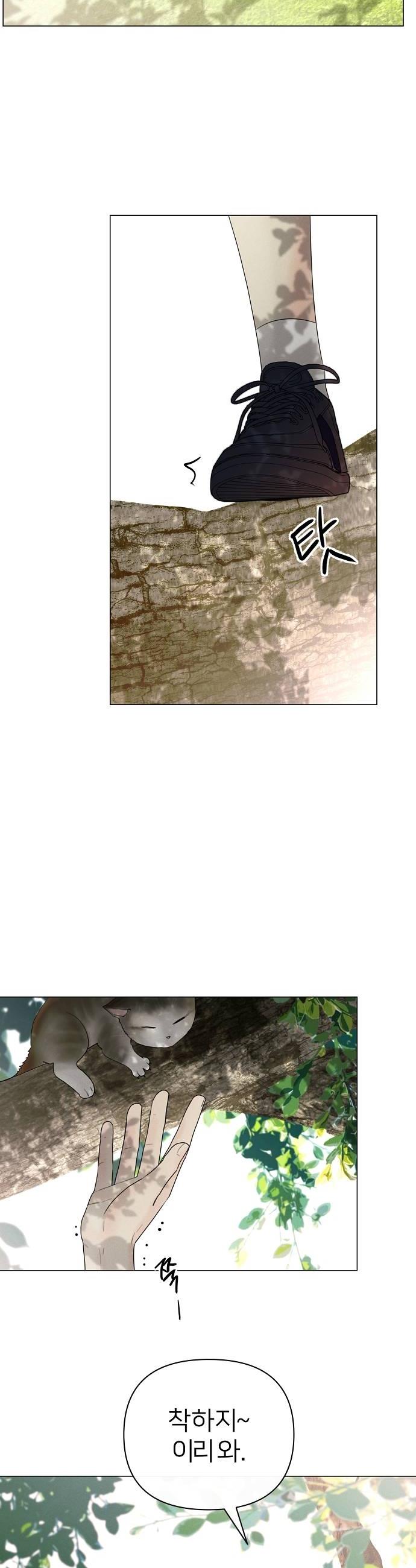 050.jpg