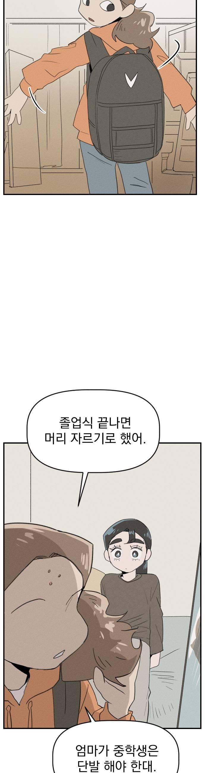 031.jpg