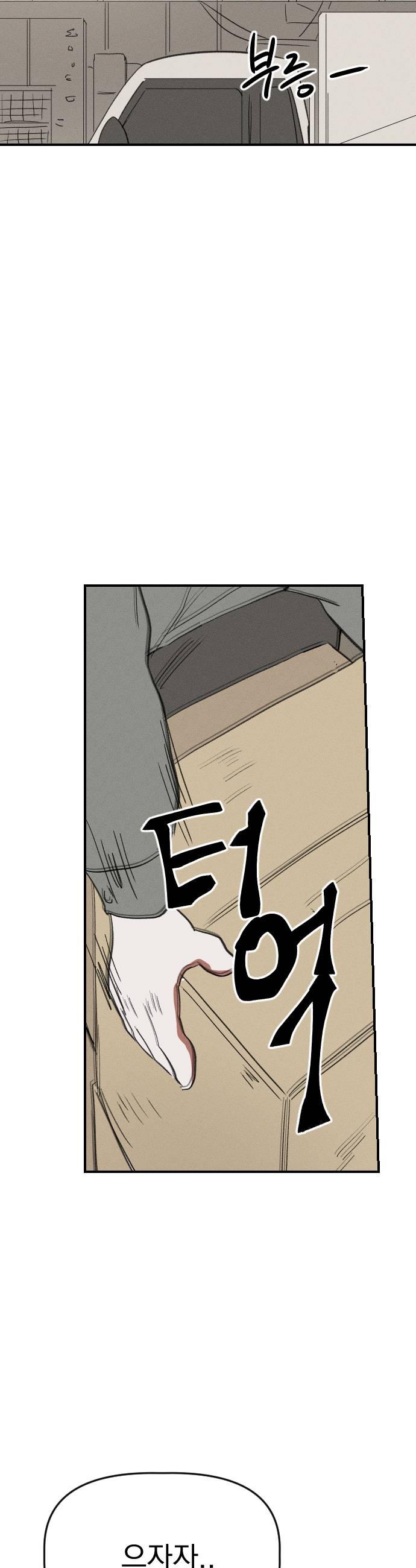 009.jpg