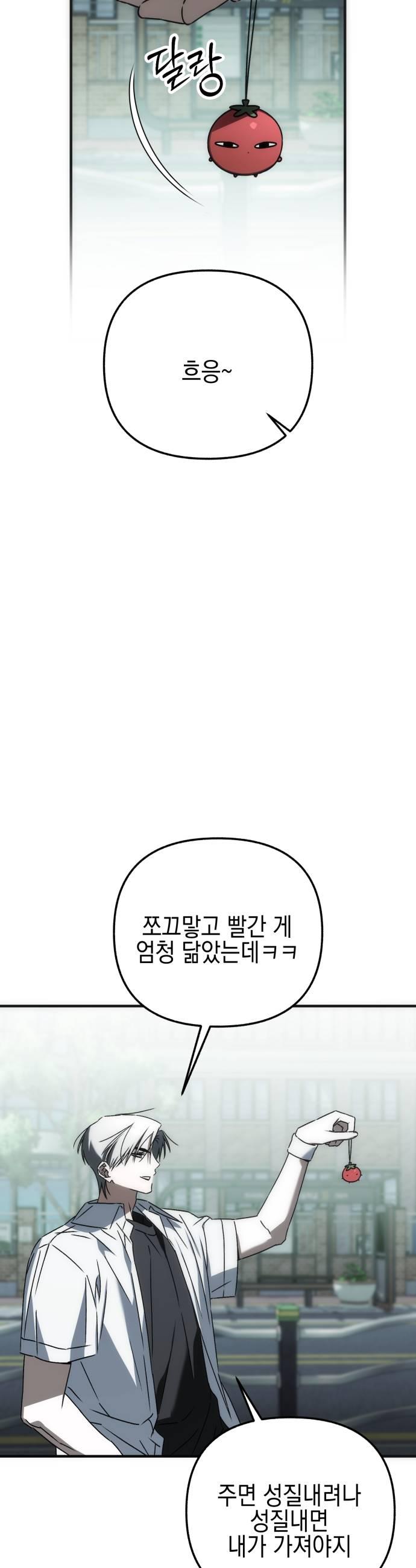 037.jpg