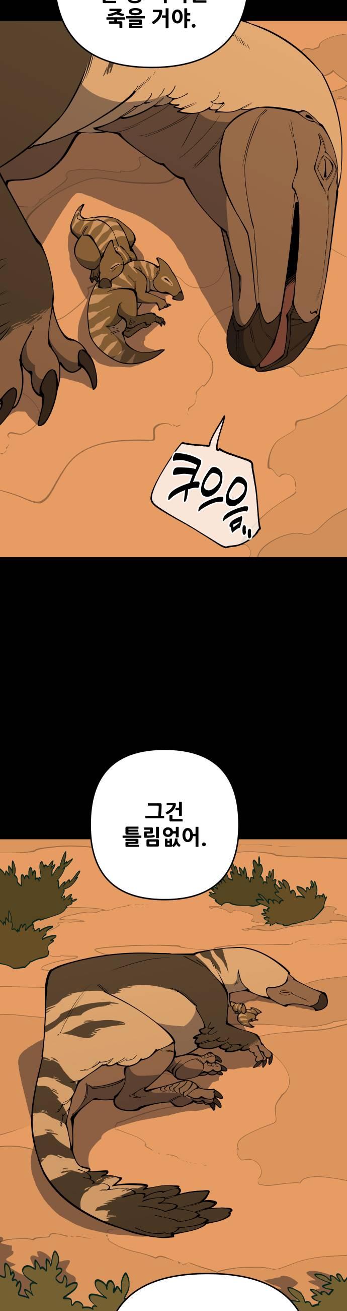 009.jpg