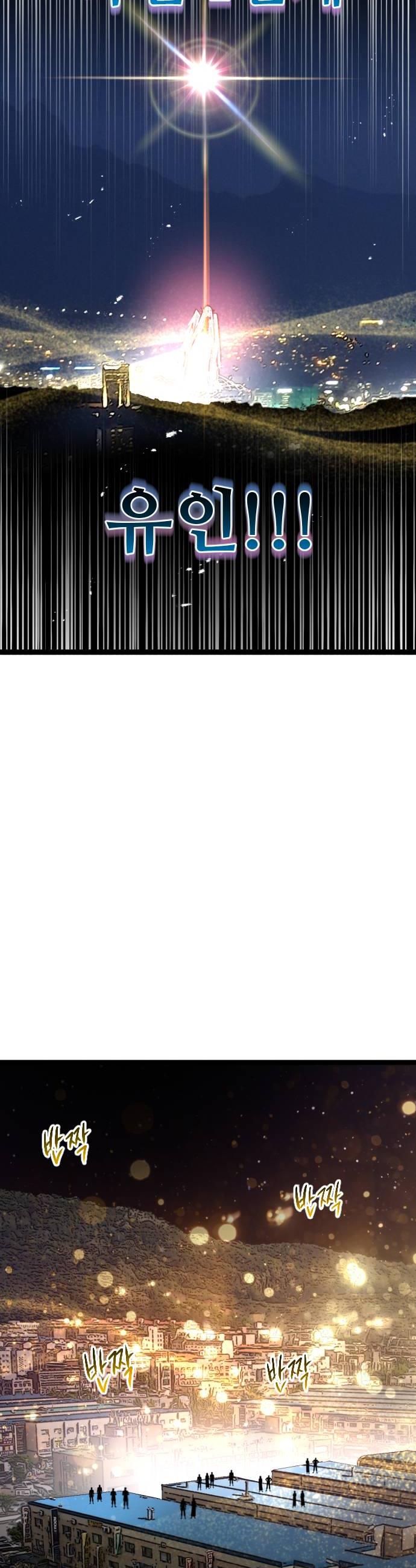 006.jpg