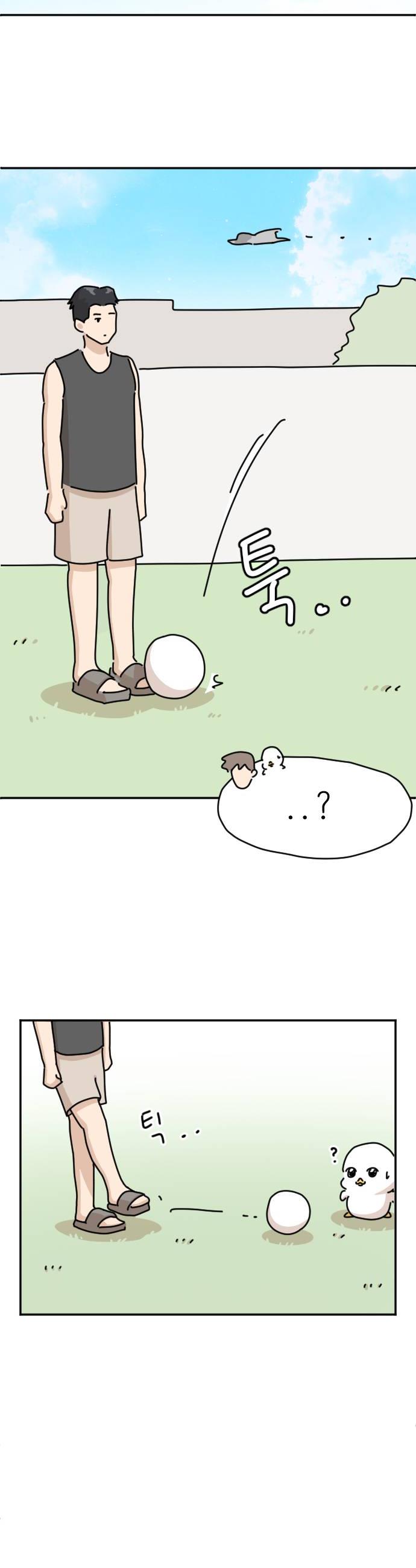 006.jpg