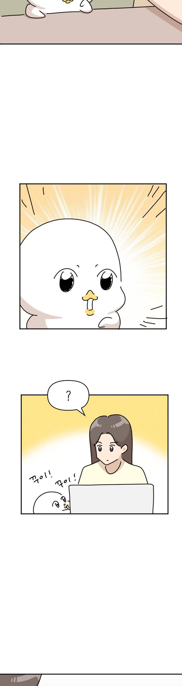 009.jpg