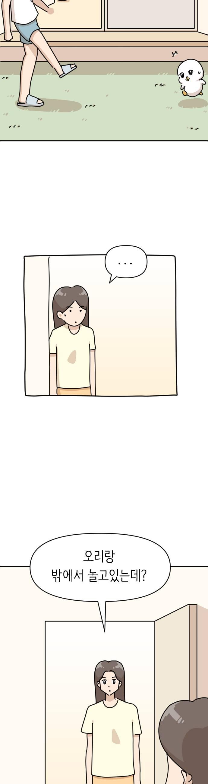 005.jpg