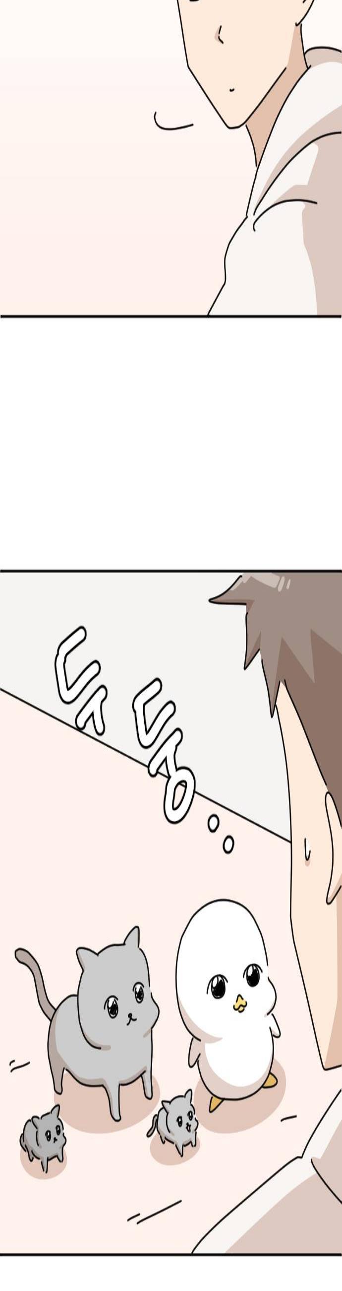 002.jpg