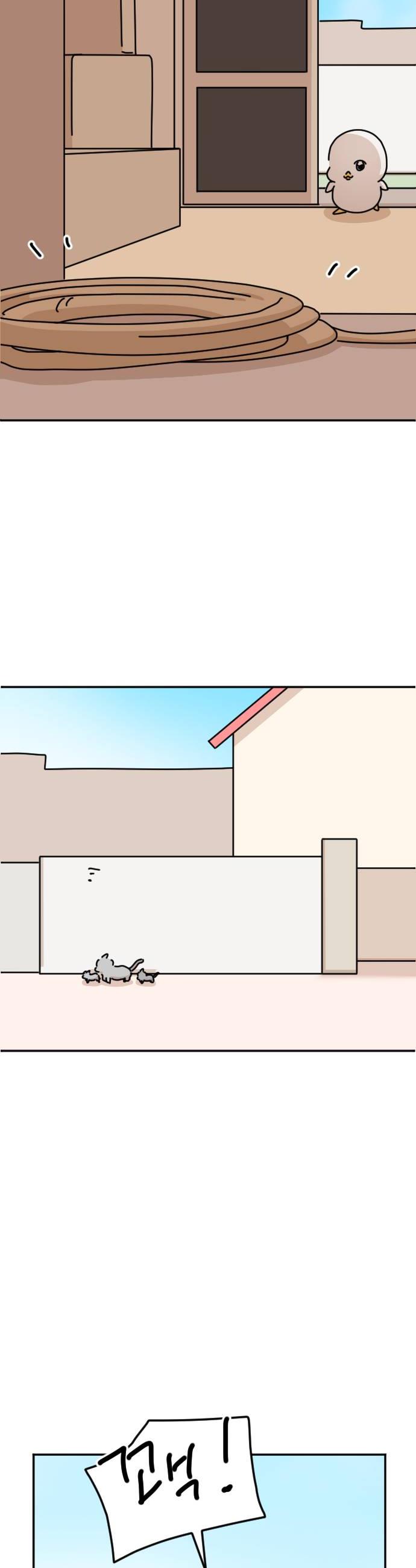 008.jpg