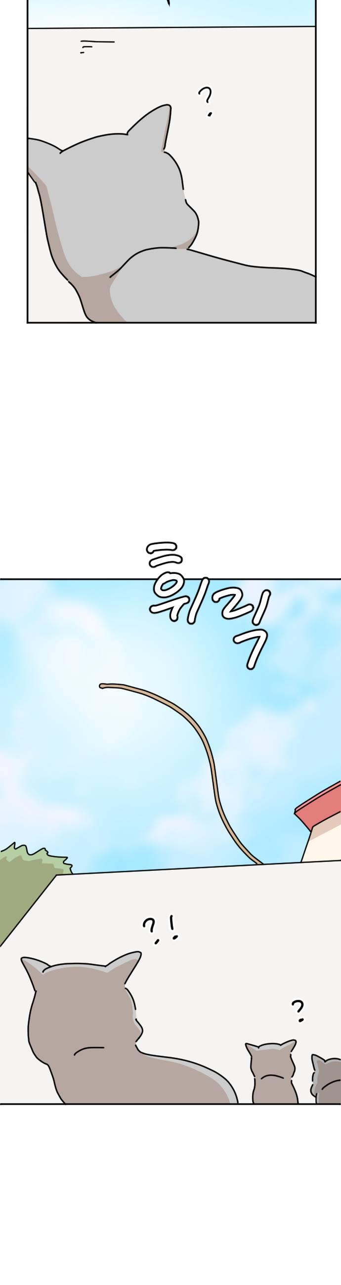 009.jpg