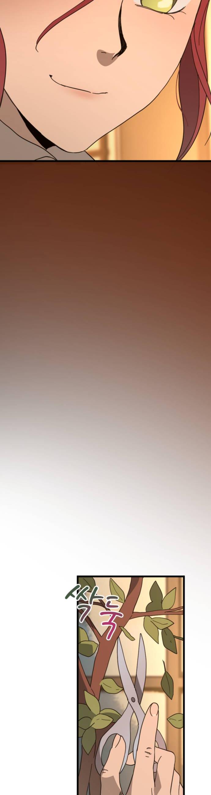008.jpg