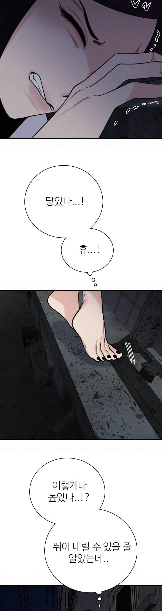 010.jpg