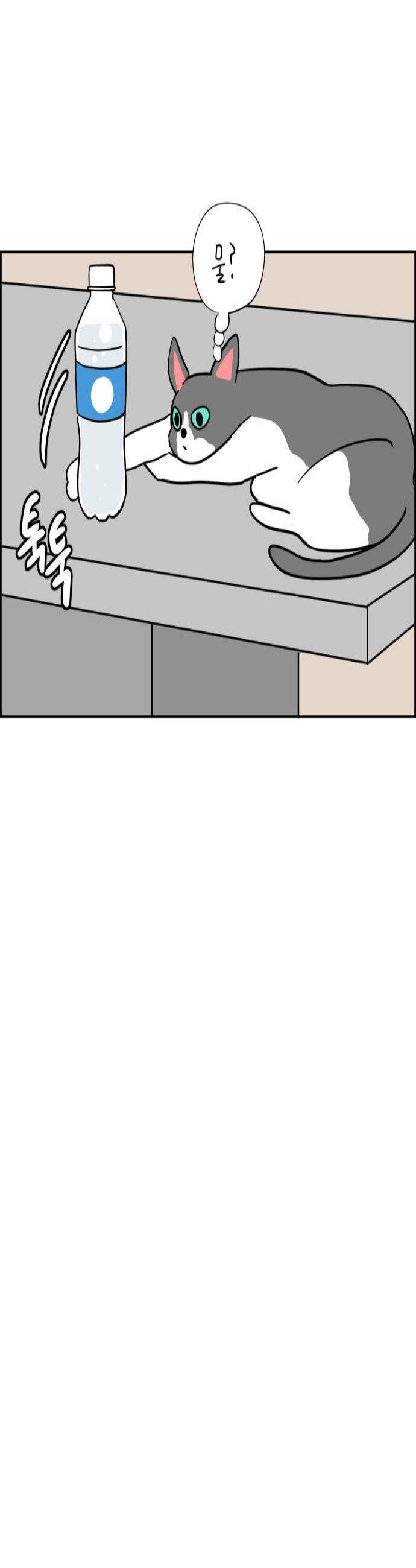 004.jpg
