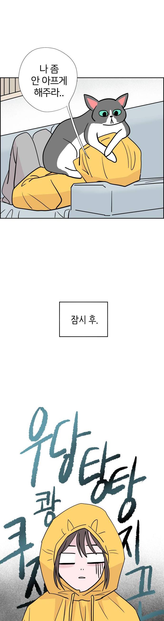 006.jpg