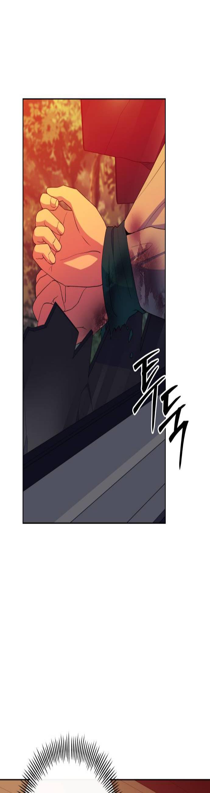 003.jpg