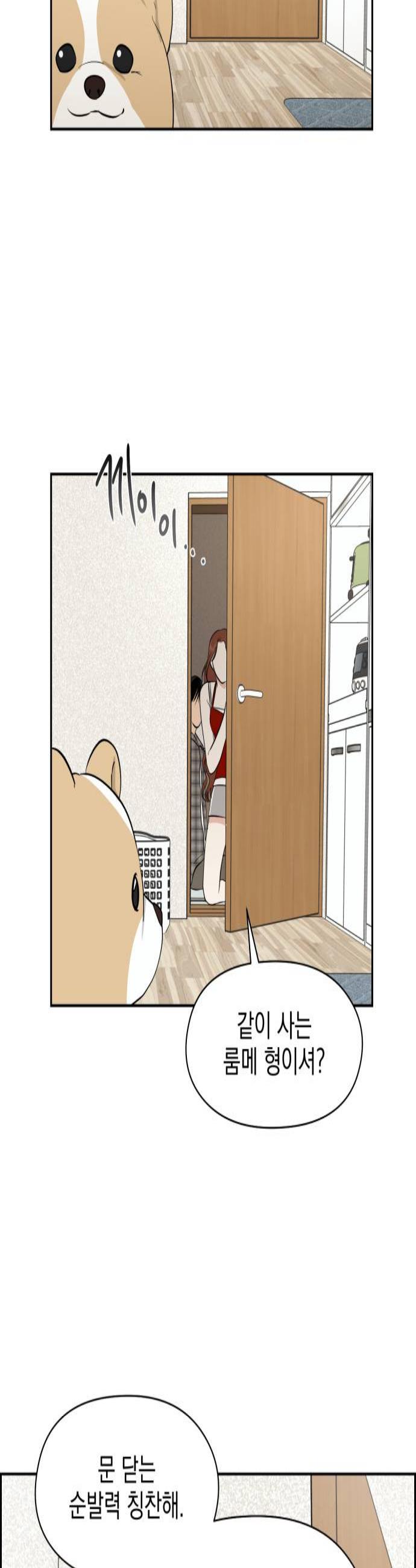 003.jpg