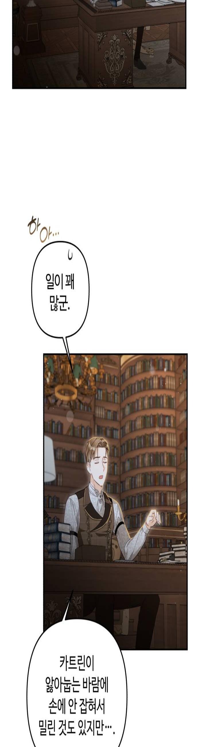 003.jpg