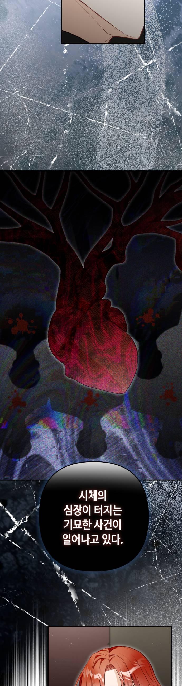 035.jpg