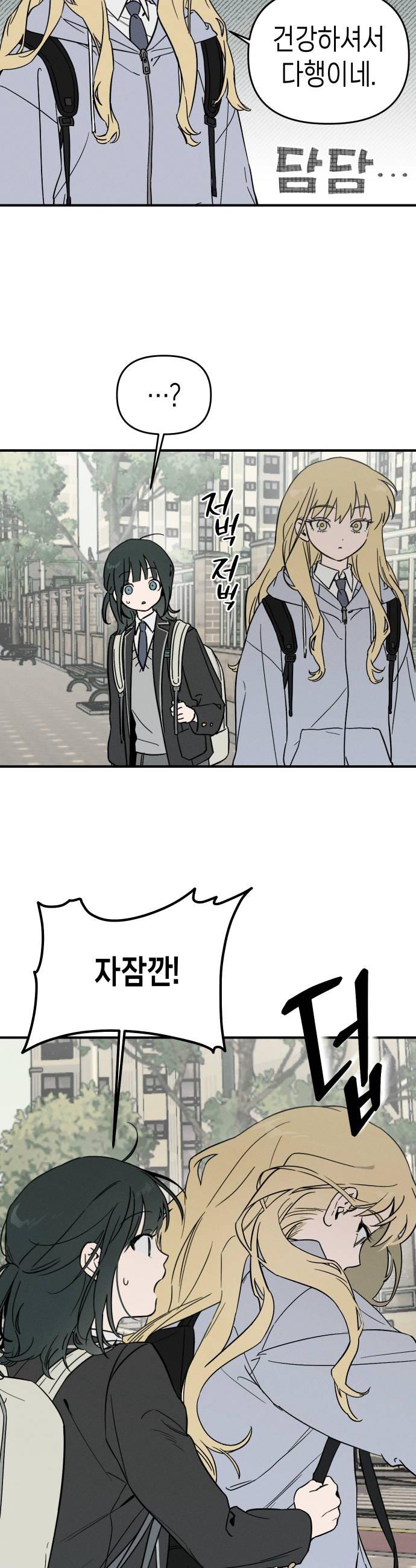 036.jpg
