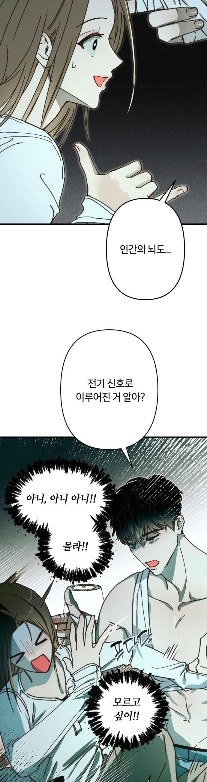 031.jpg